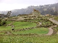 "Templo del Sol" in der Inkastadt Ingapirca